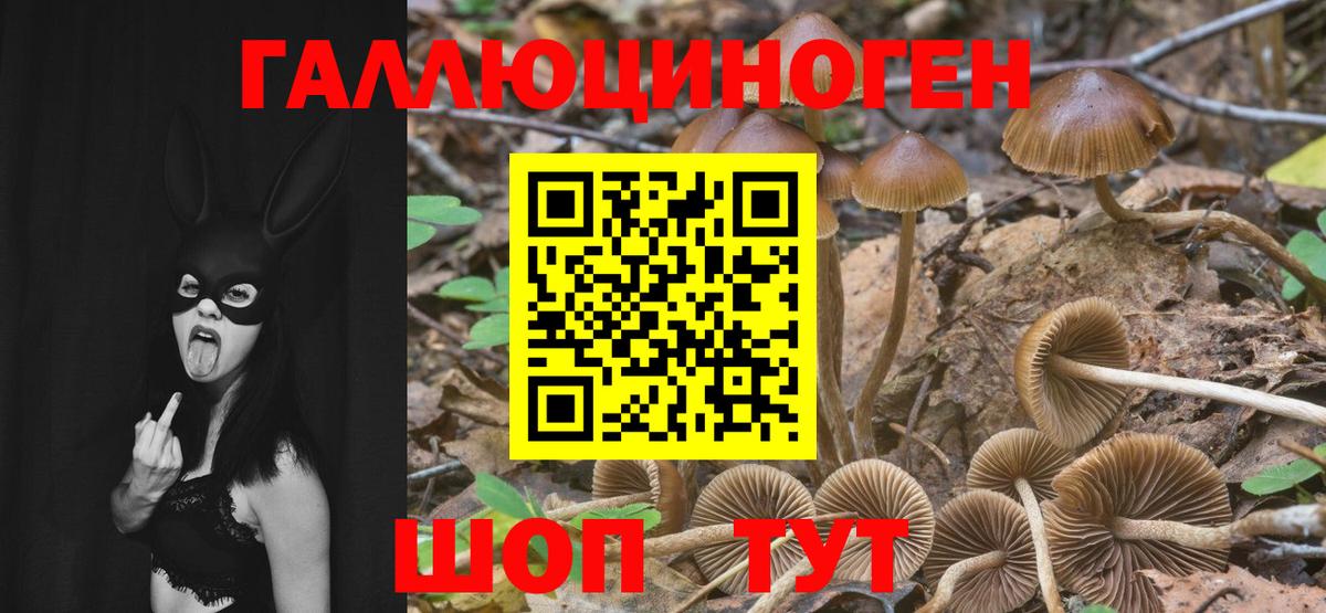 Галлюциногенные грибы Cubensis Зерноград