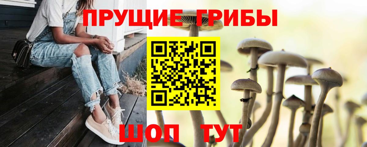 Зерноград  Псилоцибиновые грибы ЛСД  купить   Вход с VPN 